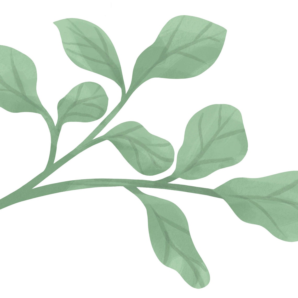 Large Botanical Wall Stickers Etsy