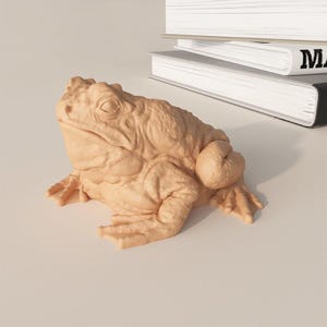 May include: A beige ceramic sculpture of a toad with a textured surface. The toad is sitting on a white surface.
