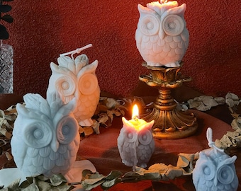 Owl Candle Silicone Mold, DIY Soap, Resin, Gypsum Abrasive