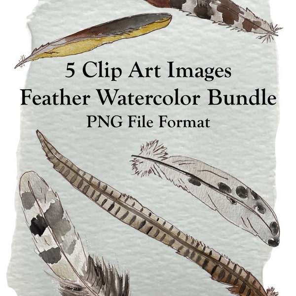 Feather PNG Clip Art Bundle - Watercolor Feathers - Feather Clip Art Images