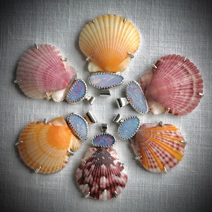 May include: A collection of seashell pendants and rings. The shells are in shades of pink, orange, and white, with silver metal settings. Each piece features an oval-shaped opal gemstone. The arrangement is on a neutral-colored fabric.