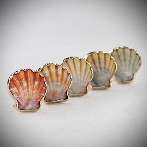 May include: Five seashell-shaped decorative objects with gold-colored rims. The shells display a range of colors, including orange, white, and yellow. The objects are arranged in a diagonal line against a white background.