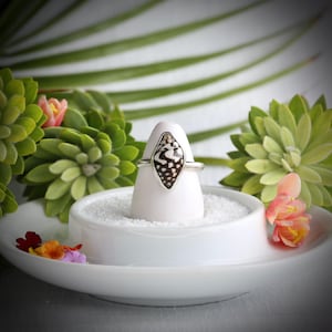 Sterling Silver Nassa Shell Ring – Natural Shell Ocean Inspired Coastal Boho Beach Jewelry Gift for Her – Size 6 Can Be Sized Up to 6.5