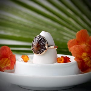 May include: A gold ring with a brown and white shell-shaped stone. The ring is displayed on a white ceramic stand, surrounded by orange flowers and a green leaf background. The ring's band is gold.