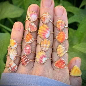 May include: A hand displays a collection of gold-toned rings, each featuring a unique, colorful seashell. The shells display a variety of warm hues, including orange, yellow, and pink, set against a natural green background.