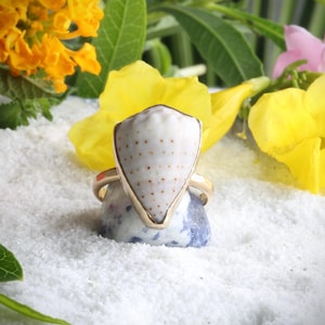 Hawaiian Abbreviated Cone Shell Ring – Gold Filled Hammer Band – Size 8