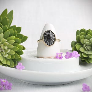 May include: A gold ring with a black and white stone is displayed on a white ceramic stand, surrounded by green succulents and small purple flowers. The ring is the focal point, showcasing its unique design.