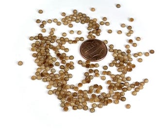 Tiger Eye Brown Glass Vintage Czechoslovakian Medium Dome Round Cabochons 288 pieces size 3mm in original packaging J750