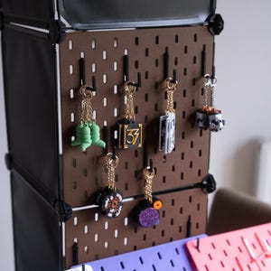 Può includere: Un espositore marrone con pannello forato con vari portachiavi appesi. I portachiavi presentano diversi design, tra cui una creatura verde, il numero 37 e un'immagine in bianco e nero. L'espositore fa parte di un'unità di stoccaggio modulare.