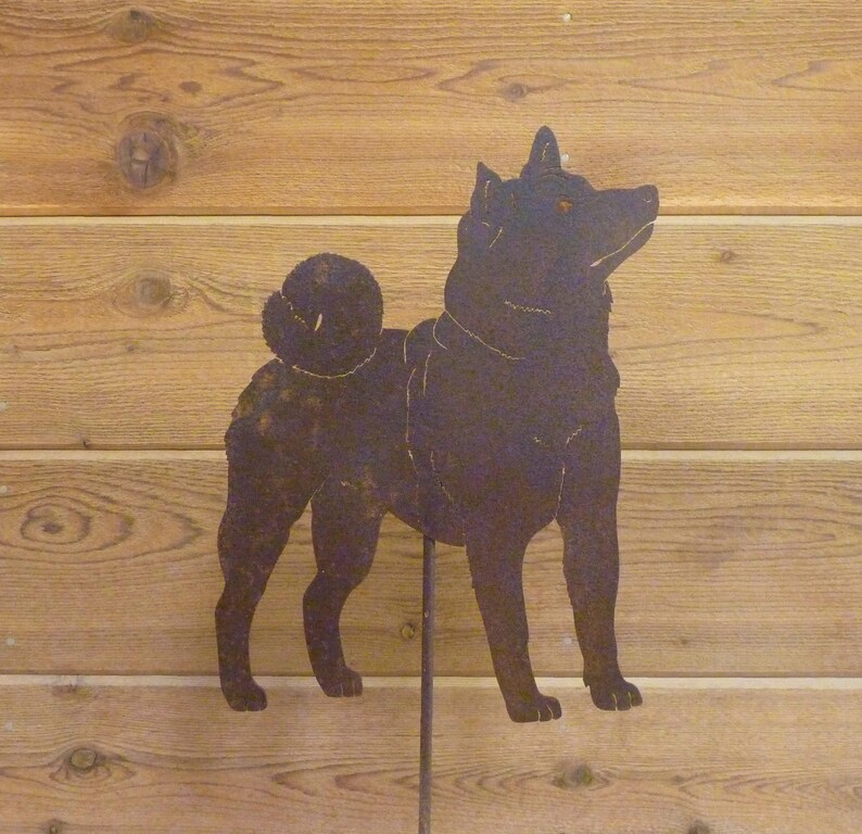 shiba inu stake rust