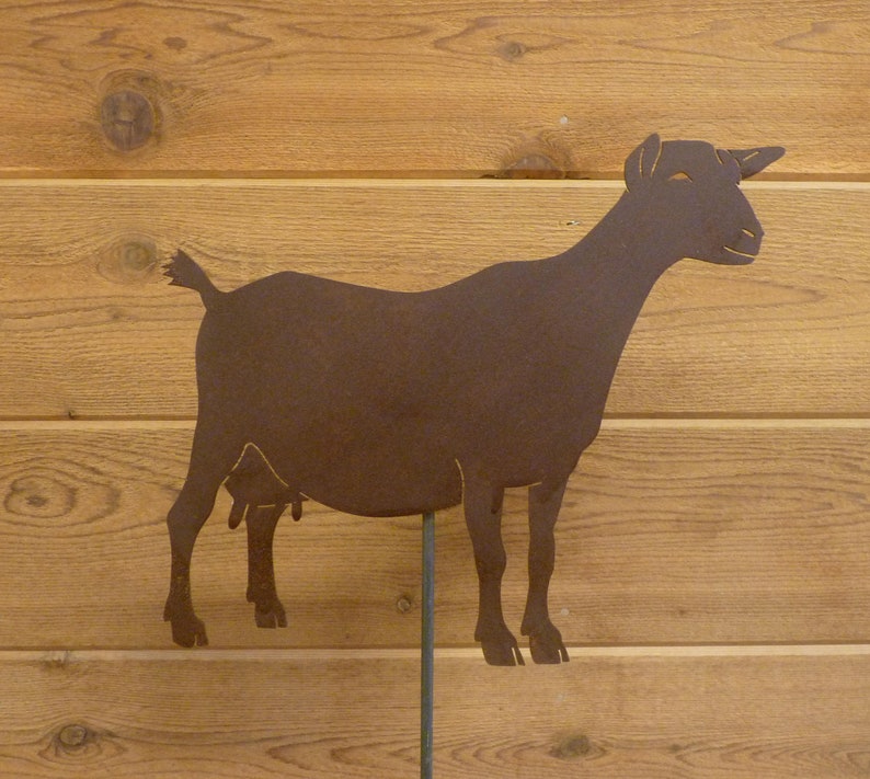 Nigerian Goat Garden Stake Lasercut Design Natural Rust Etsy