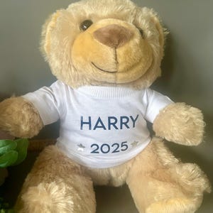 Personalised mumble’s teddy bear in a tshirt|soft fur teddy with name tshirt|baby toddler gift| personalised bear all ages| baby name gifts