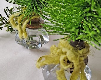 Christmas Trees Set of 2 Vintage Glass Door Knobs with Green Bristle Brush Christmas Trees