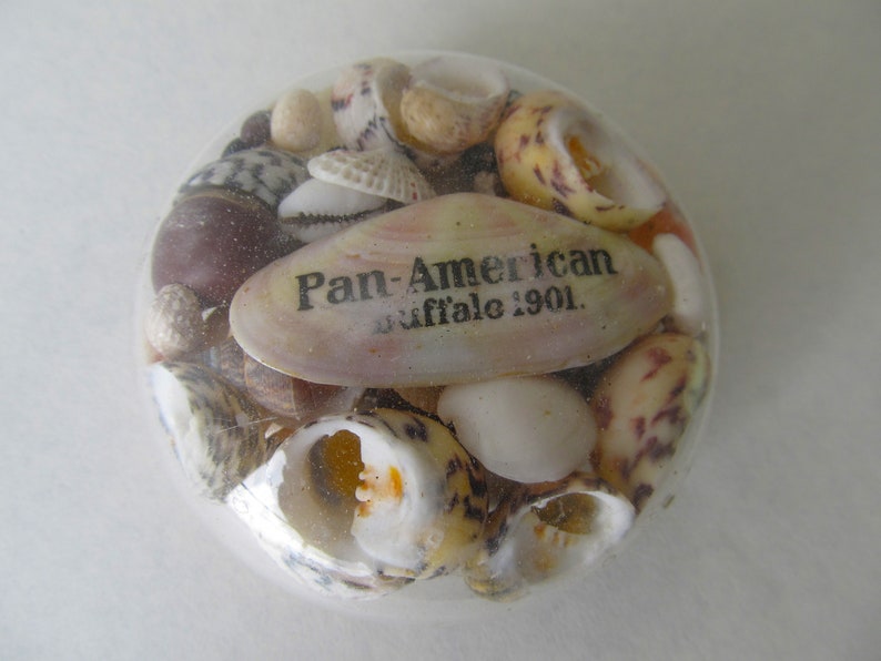 1901 Pan-american Exposition Vintage Shell Paperweight - Etsy