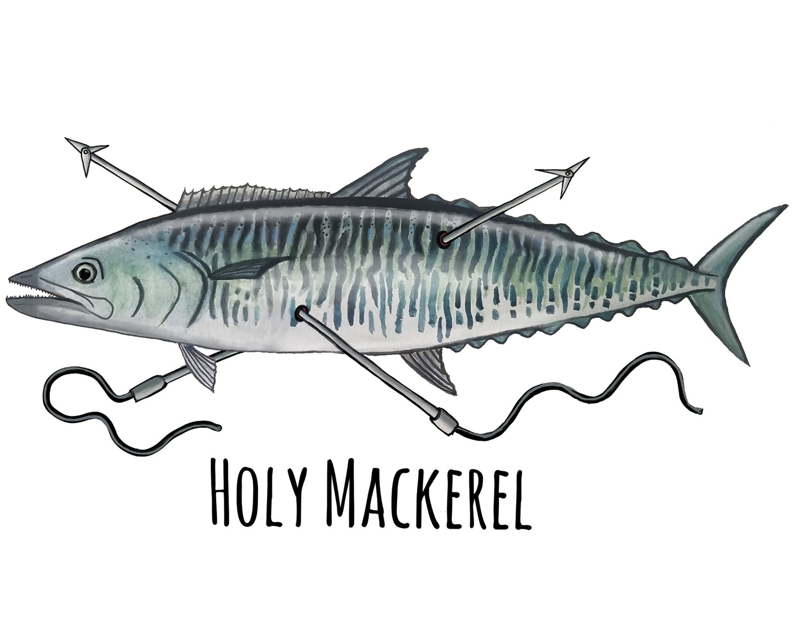 Holy Mackerel Spanish Mackerel Congratulations Happy Birthday Any