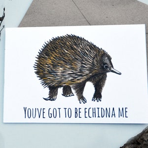 You've got to be echidna me - Echidna Grußkarte - Lustige Karte - Karte für jeden Anlass