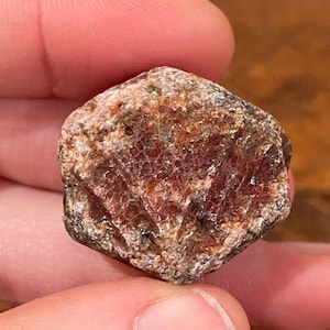 Peut inclure: Une pierre précieuse brute, brun rougeâtre, avec une structure cristalline. La pierre présente un mélange de tons rouge foncé et brun clair, avec une surface légèrement texturée. La pierre est tenue entre deux doigts.