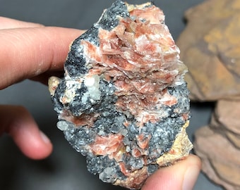 Galena with Barite and Cerrusite from the Mibladen District in Morocco, Natural Minerals