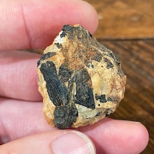 May include: A rough, natural mineral specimen featuring a mix of colors. The stone has a tan and brown matrix with embedded black, elongated crystal formations. The surface has a slightly rough texture.