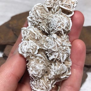 Desert Rose Cluster, Desert Rose Selenite, Natural Selenite Flower Cluster