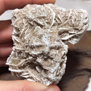 Desert Rose Cluster, Desert Rose Selenite, Natural Selenite Flower Cluster