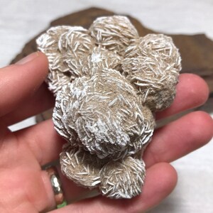 Desert Rose Cluster, Desert Rose Selenite, Natural Selenite Flower Cluster