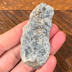 May include: A rough, natural celestite crystal cluster. The crystal has a pale blue hue with a crystalline structure. The base is a rough, gray-brown color. The celestite is held in a hand.