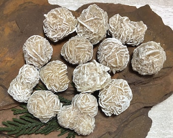 May include: A collection of 11 white rose quartz crystals, also known as desert roses, on a brown rock surface. The crystals are clustered together and have a delicate, layered appearance.