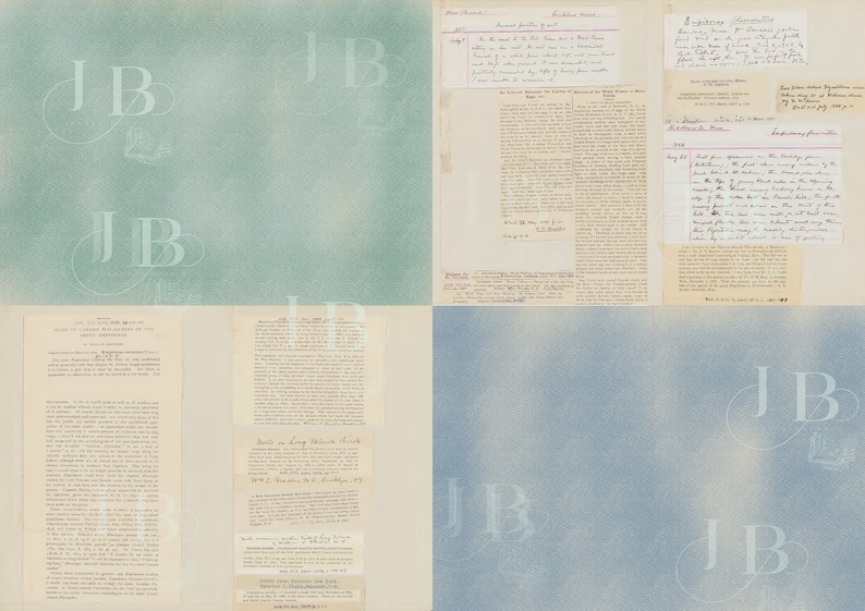 Field notes, an ornithologist junk journal printable kit, unisex, original notebook image 6