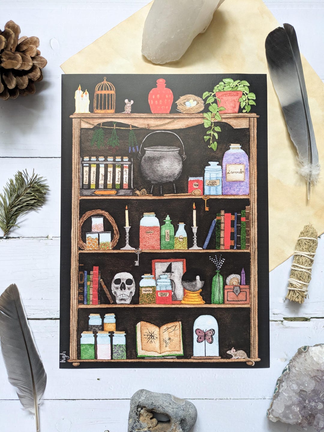 Witch's Apothecary Shelf Print: Watercolor Witchcraft Art - Etsy