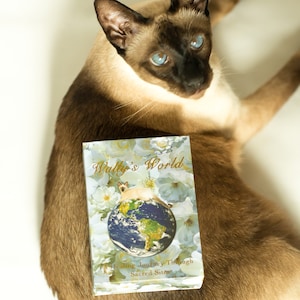 Wally&#39;s World Oracle: A Healing Journey Through Sacred Sites