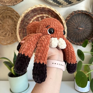 Adorable Baby Jumping Spider Plush | Plushie | Toy | Decoration
