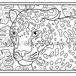 Printable Big Cats Coloring Pages - Etsy
