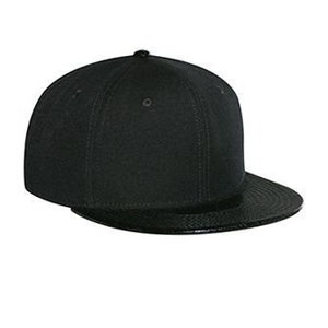 May include: A black baseball cap with a flat brim and a black leather-like underside.