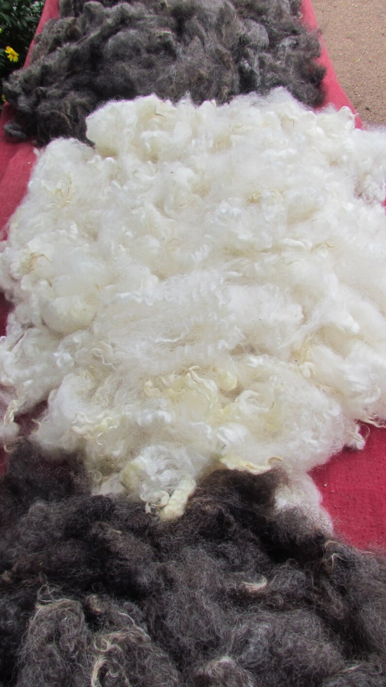 Spinners Introductory Sample Wool Kit 200gms Etsy Australia