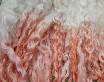 Coloured 150gms Lincoln Longwool Sheep Locks or Dyed to Order