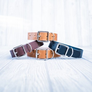 Handmade Dog Collar, Leather Dog collar, Collar for dog, Collar for puppy, Sturdy dog collar, Puppy collar, Doodle collar, Boxer Collar,