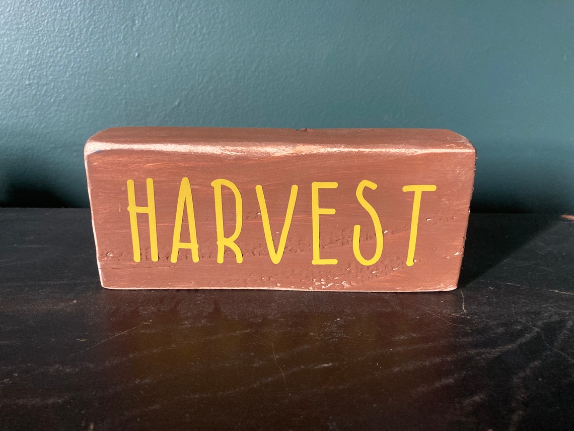 fun on main street lego