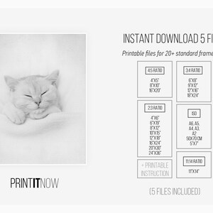 Sleeping Cat Print, Nursery Animal Decor Wall Art, Large Printable ...