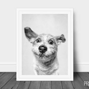 Happy Dog Cute Print, Bull Dog Decor Wall Art, Large Printable Poster, Digital Download, Modern Minimalist Decor, Black and White