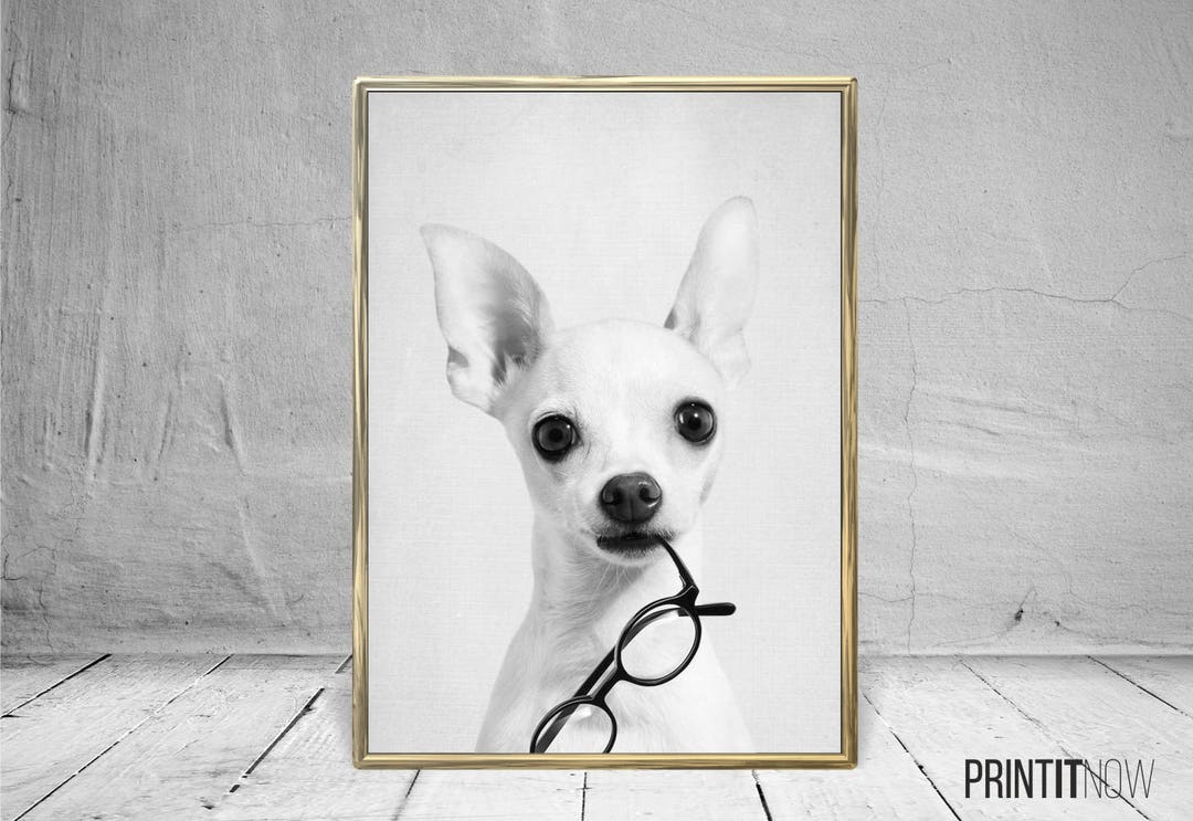 Dog With Glasses Print, Nursery Animal Decor Wall Art, Large Printable ...