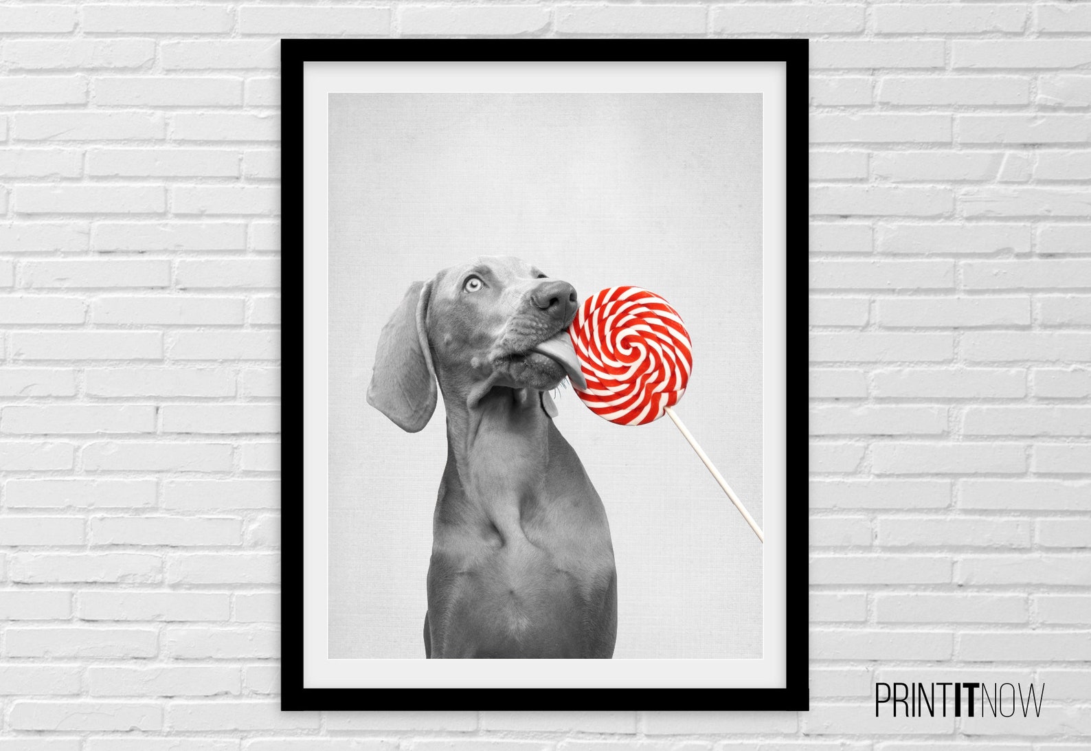 dog-with-lollipop-poster-nursery-animal-decor-wall-art-large-etsy