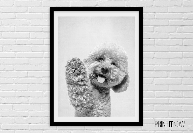 Hello Happy Dog Poster, Nursery Animal Decor Wall Art, Large Printable Poster, Digital Download, Modern Minimalist Decor, Black and White image 3