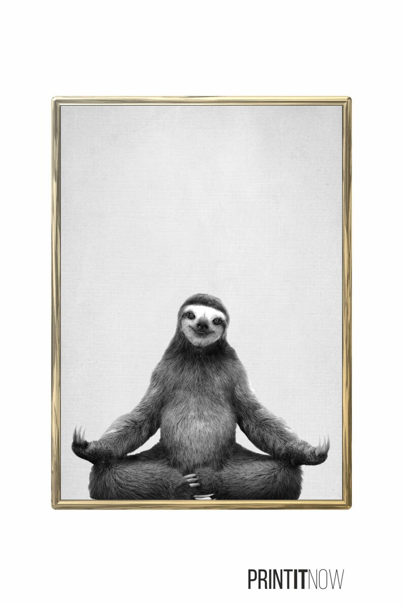 Yoga Sloth Print Nursery Animal Decor Wall Art Large Etsy