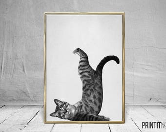 Yoga Cat Print, Nursery Animal Decor Wall Art, Large Printable Poster, Digital Download, Modern Minimalist Decor,Black and White, Yoga Print