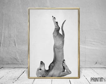 Yoga Dog Print, Nursery Animal Decor Wall Art, Large Printable Poster, Digital Download, Modern Minimalist Decor,Black and White, Yoga Print