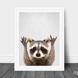 Cool Raccoon Print, Nursery Animal Decor Wall Art, Large Printable Poster, Digital Download, Living room Decor,Raccoon artwork