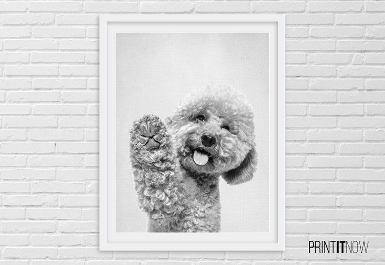 Hello Happy Dog Poster, Nursery Animal Decor Wall Art, Large Printable Poster, Digital Download, Modern Minimalist Decor, Black and White image 2