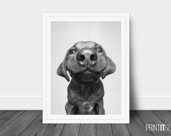 Happy Dog Print, Nursery Animal Decor Wall Art, Large Printable Poster, Digital Download, Modern Living room Decor, Dog Poster