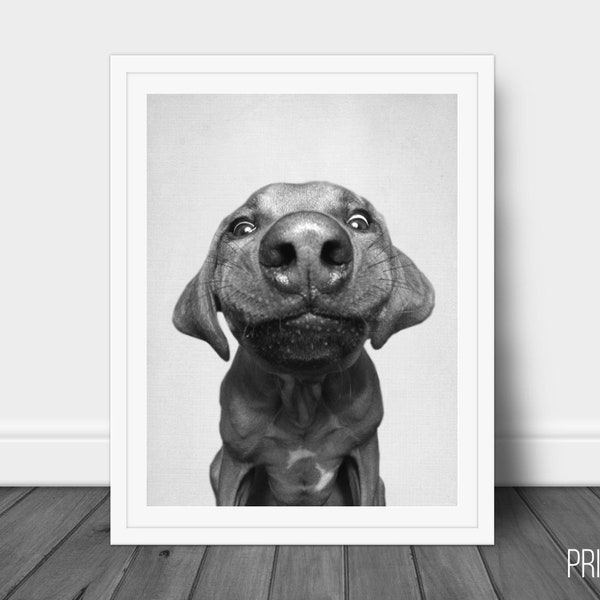 Custom Dog Poster Etsy